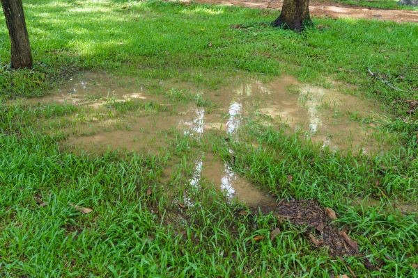 Storm Water Drainage Service in Mill Valley