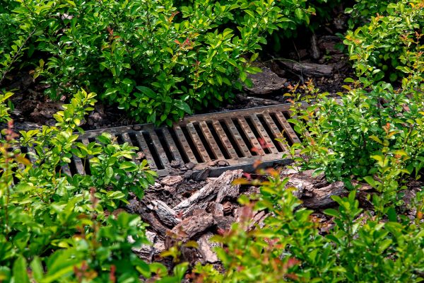 Underground Drainage Service in Mill Valley