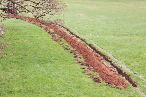 Cost of Swale Installation in Mill Valley