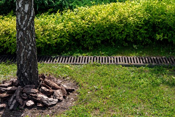 Garden Drainage Installation in Mill Valley