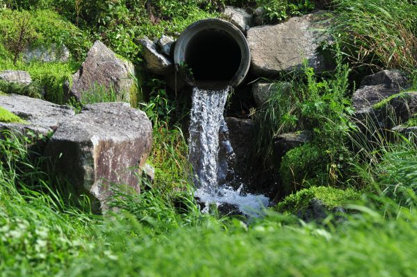 Water Redirection in Mill Valley