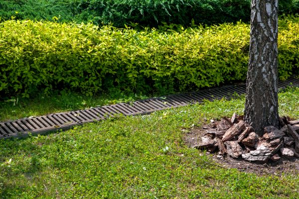 Residential Landscape Drainage in Mill Valley