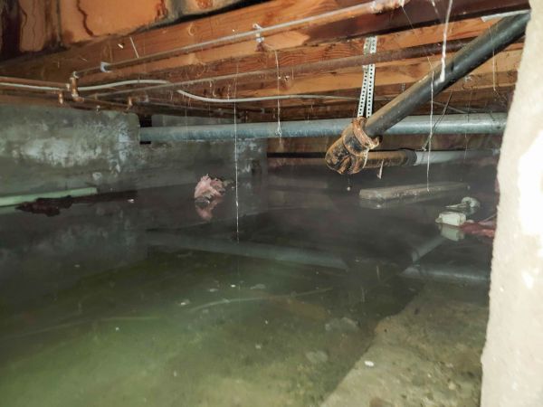 Cost of Crawlspace Drainage in Mill Valley