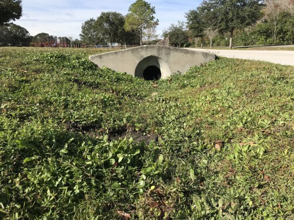 Cost of Swale Drainage Service in Mill Valley