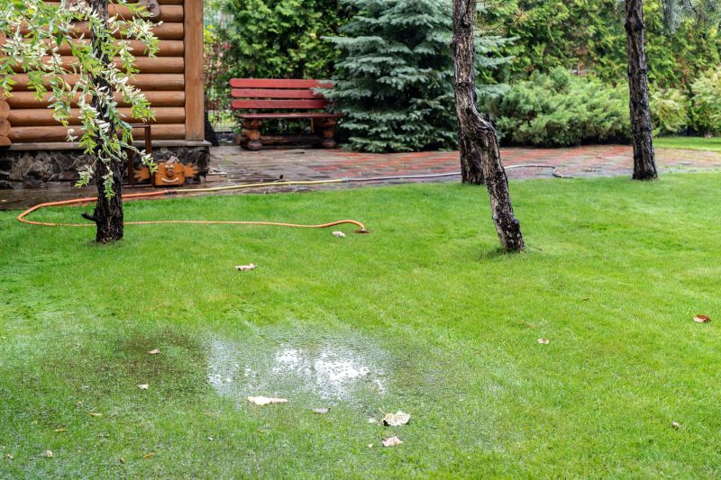 Lawn Drainage